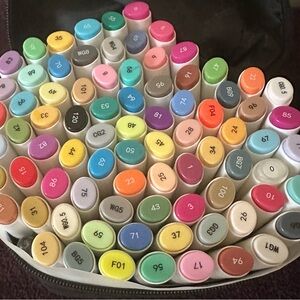 SET OF 80 Ohuhu Alcohol Markers
FINE AND BROAD POINT with case